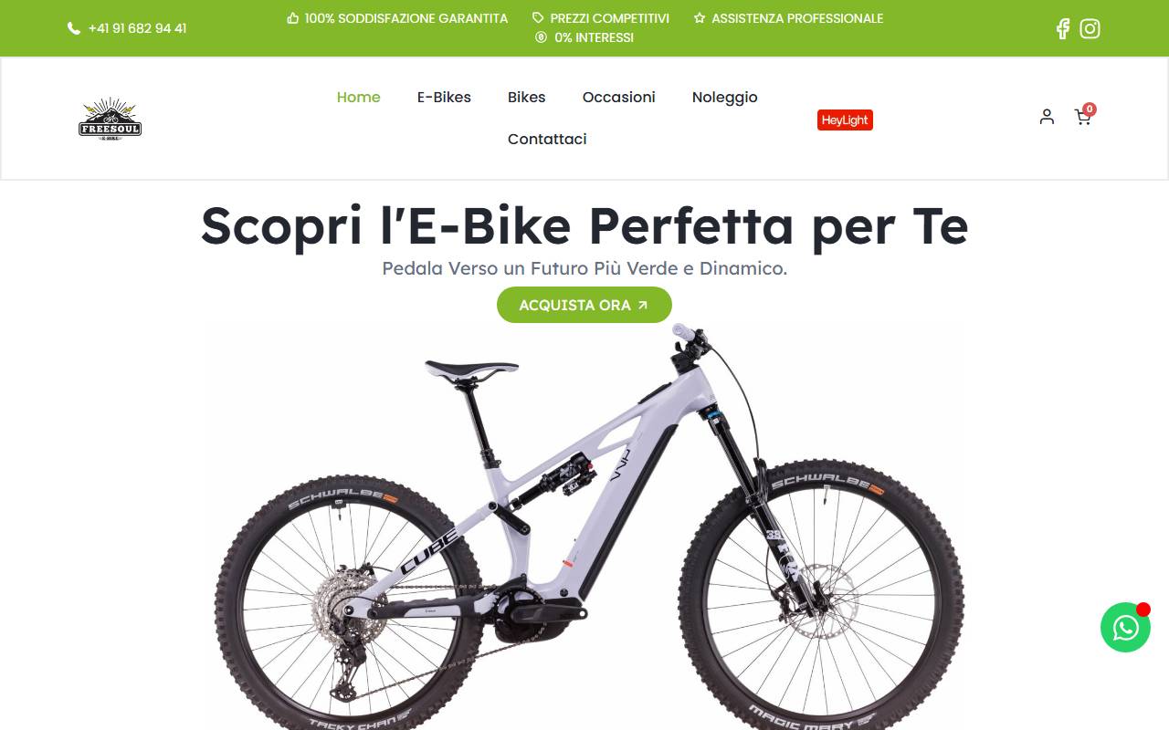 E-Bike Freesoul